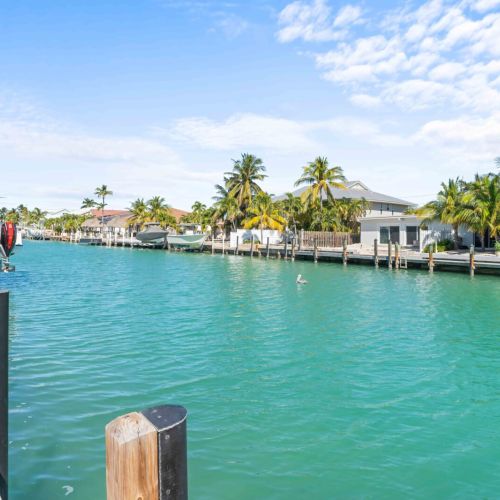 Escape to this serene oasis where the water sparkles and the palm trees sway. Dive into relaxation with stunning views all around! Your perfect vacation getaway awaits.