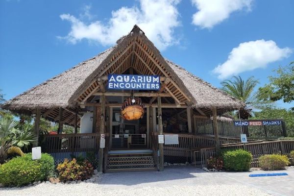 Florida keys aquarium encounters