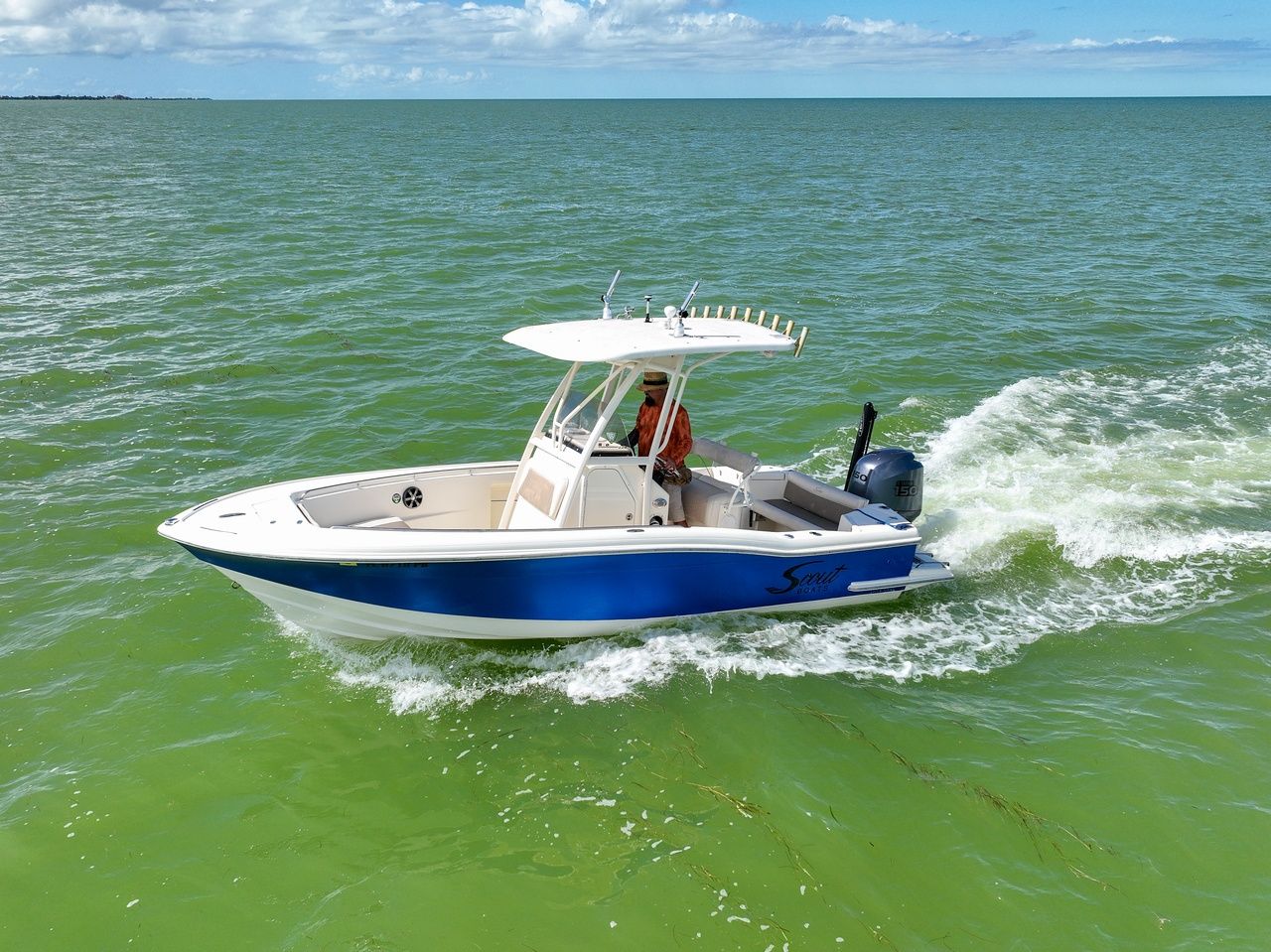 Catch mahi mahi at marathon hump: premier fishing spot in the florida keys for trophy dorado.