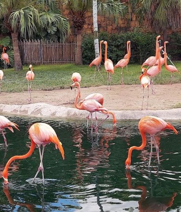 Bmj5hgplq1qqehefu5mk 1 11b8f9d8