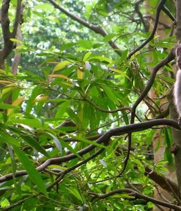 Opygbnswt3sl2rfssj0u 1 122f77f5