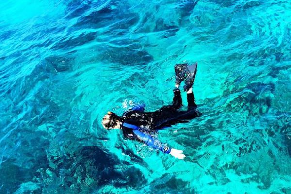 Snorkel, scuba dive, dive instruction & daily charters at looe key reef dive center