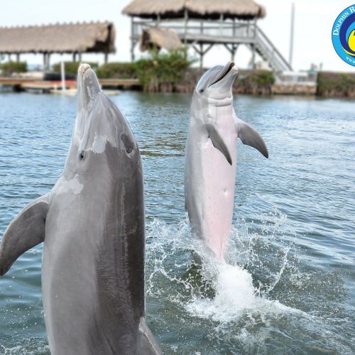 Experience the beauty of nature right from your doorstep.