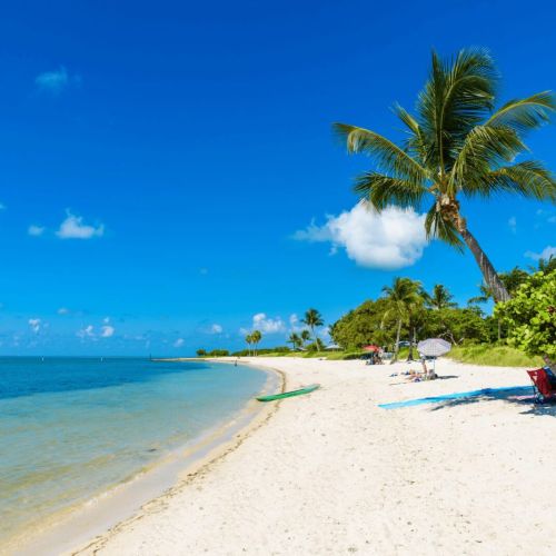 Experience the ultimate coastal getaway, where sandy beaches and swaying palm trees create a serene escape.