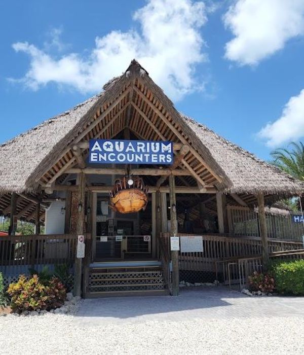 3e6fmi9fqly3nnce1pf5 1 228ce6a6