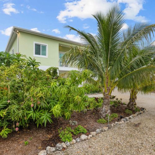 Tropical landscaping: mango and coconut palms wrap the home in island green.