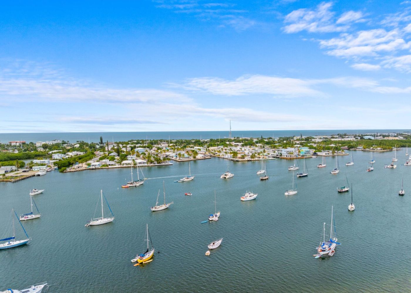 Wuqvntebc1lckkd8vwg5 336a403e