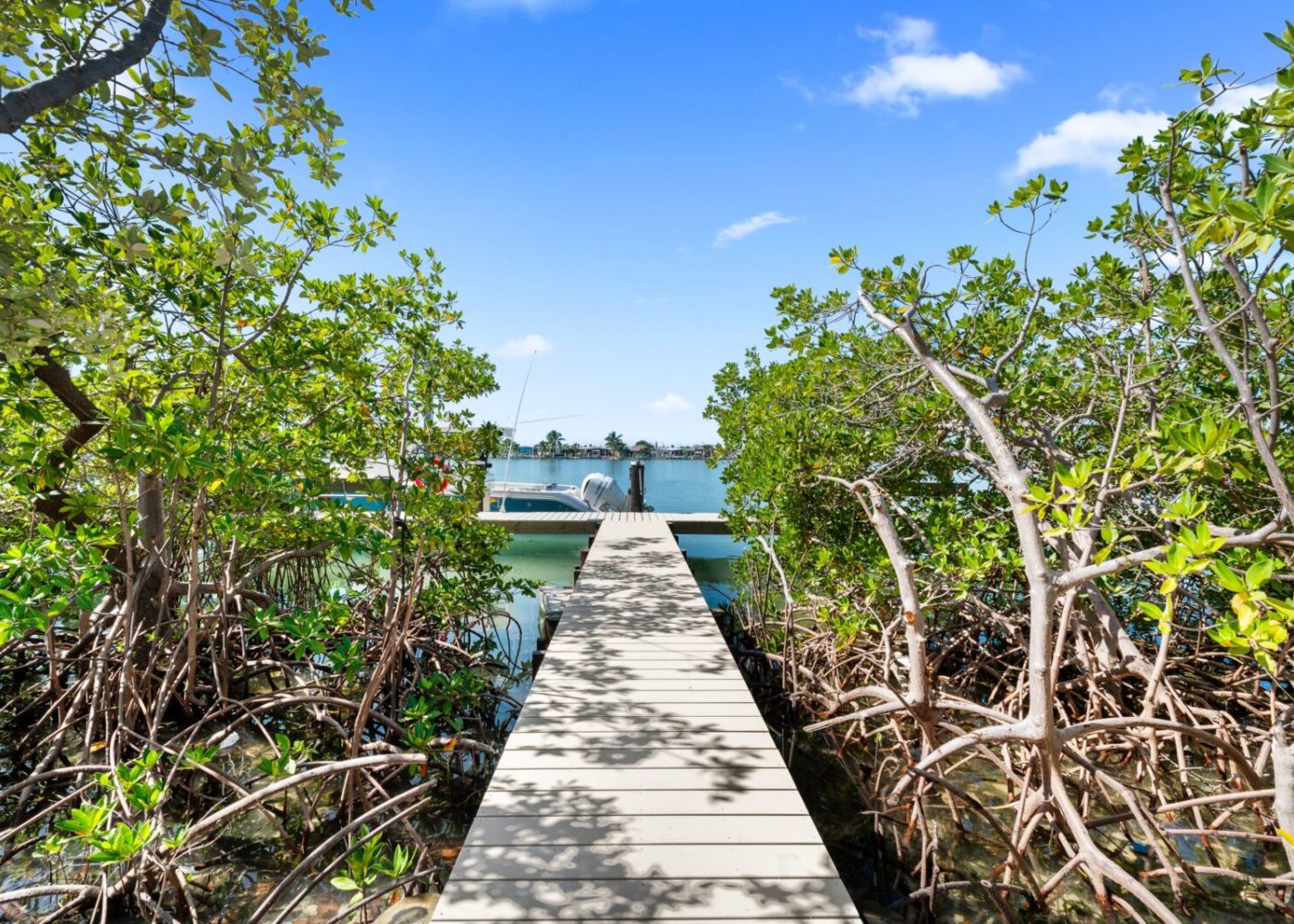 Lpgq8ivpxqttylghndz8 37765377