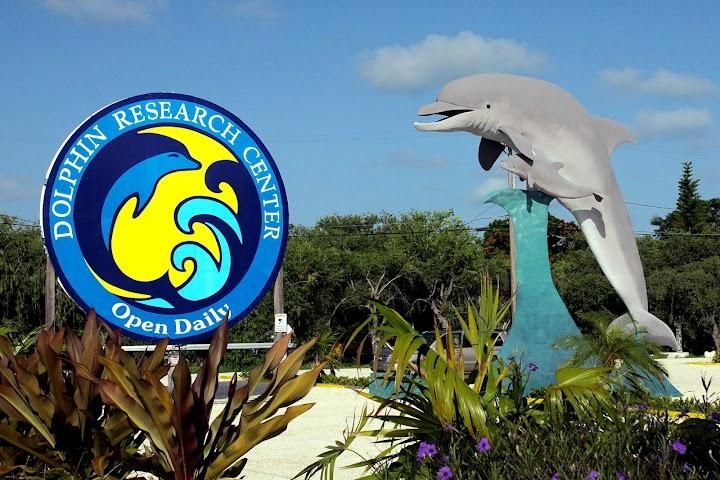 Dolphin Research Center Image