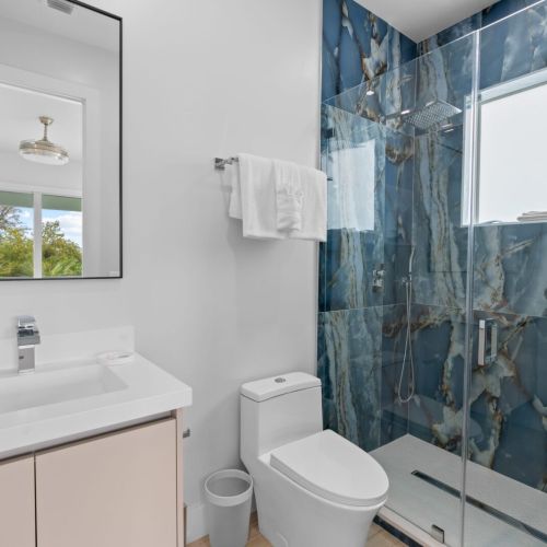 Create a harmonious bathroom oasis with a pristine white toilet and a stylish walk-in shower, the perfect blend of functionality and elegance