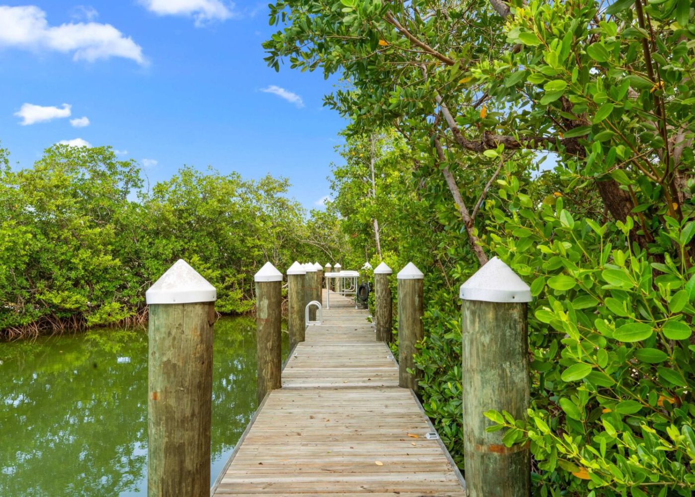 Tqmc3simrc4nf9b6lrwu 426d905d