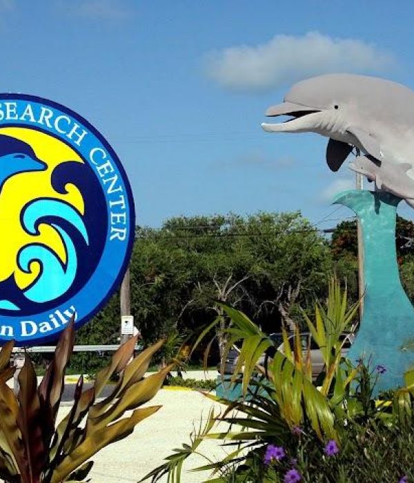 5a1egcbbtkwqhjbuvjkh 1 47d3bb16