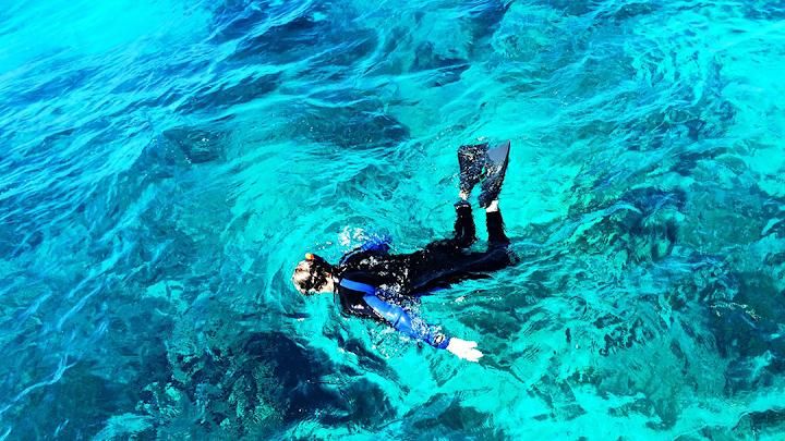 Snorkel, Scuba Dive, Dive Instruction & Daily Charters at Looe Key Reef Dive Center Image