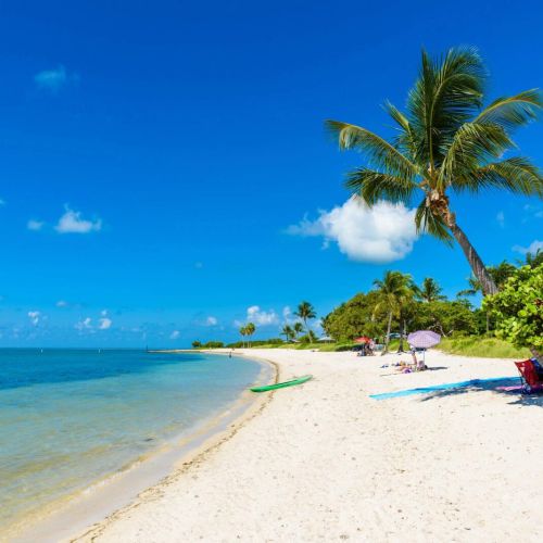 Ffl3tnzezmqtvcchoxdq 4c942813