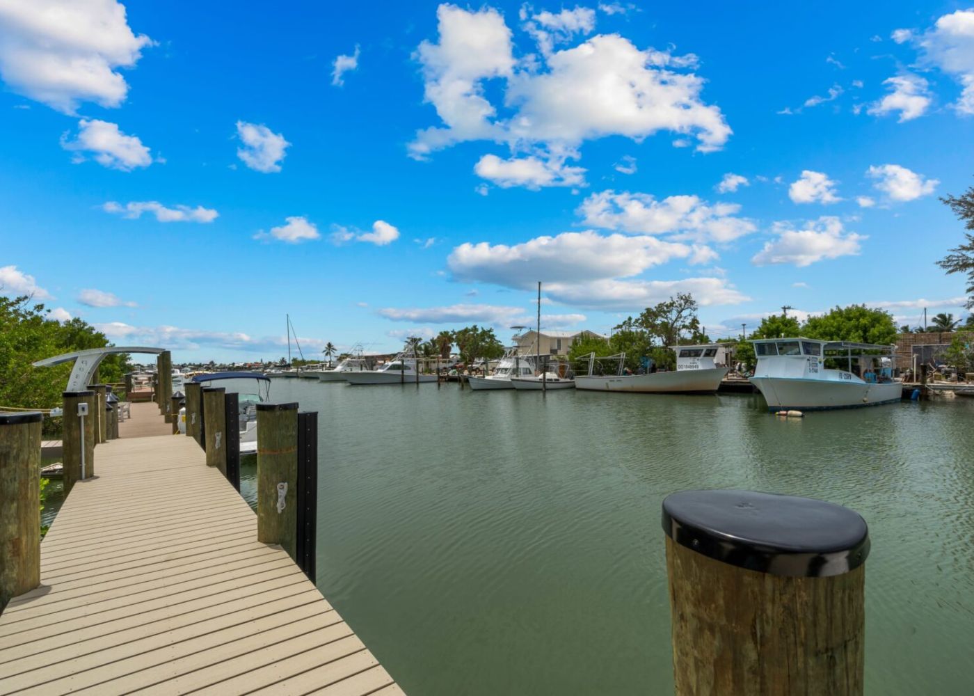 V73mbvn1vq3zn9vkknt1 1 4ea261ff