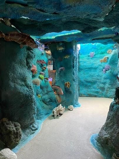 Crane Point Museum & Nature Trail Image