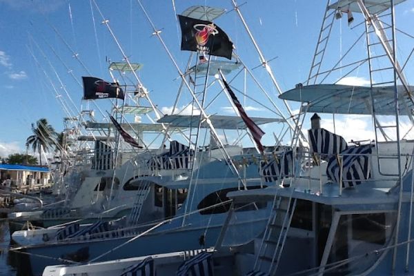 Therapy – iv – miami deep sea fishing