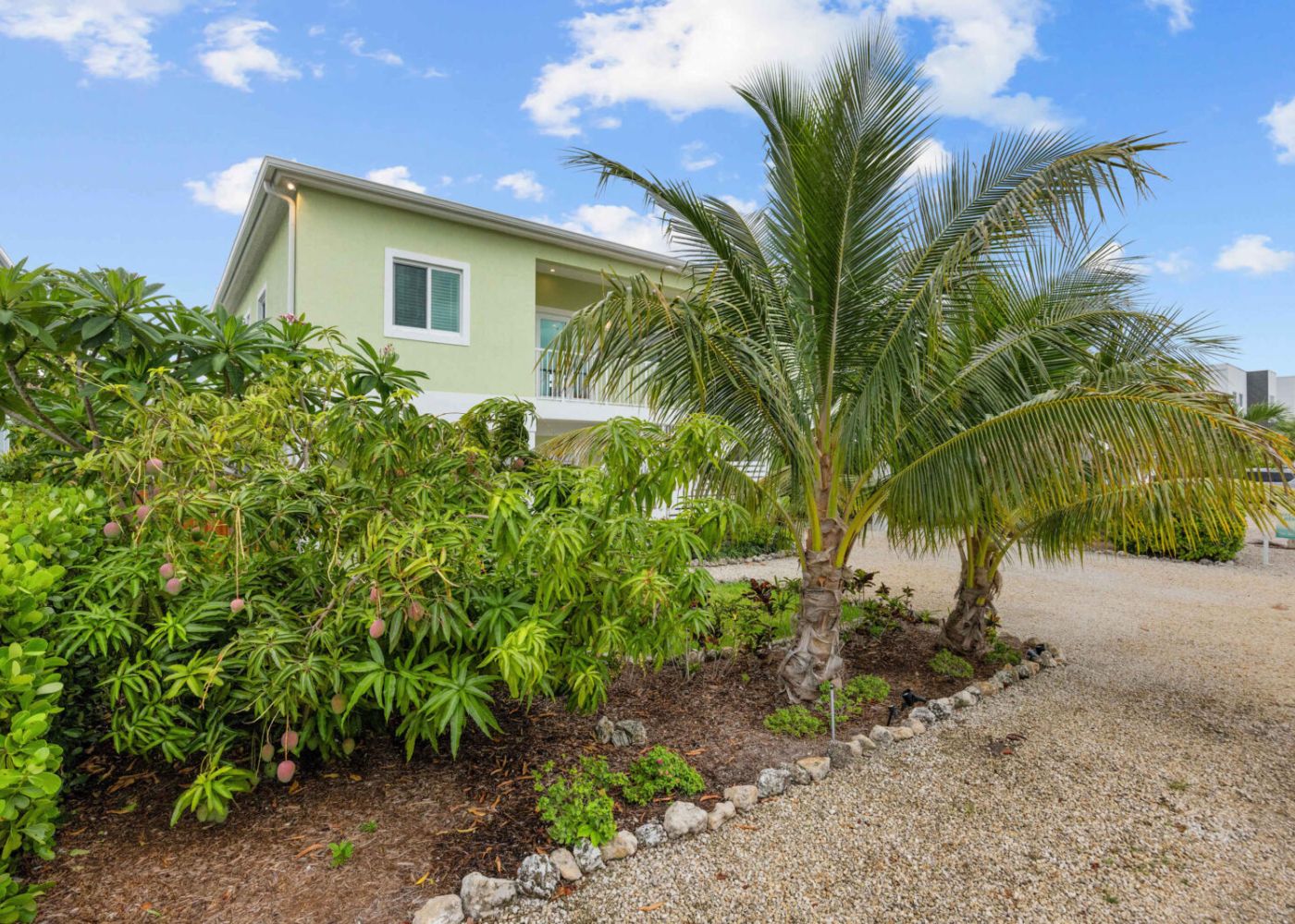 Emeraldpalms 41 hl65f 6304a6bd