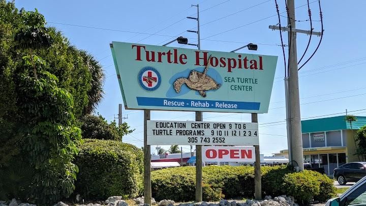 Turtle Hospital Image