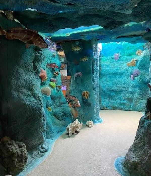 Sshsmwmvsci9ykm8i1xl 1 682225ae