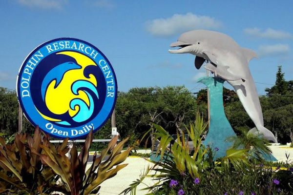 Dolphin research center