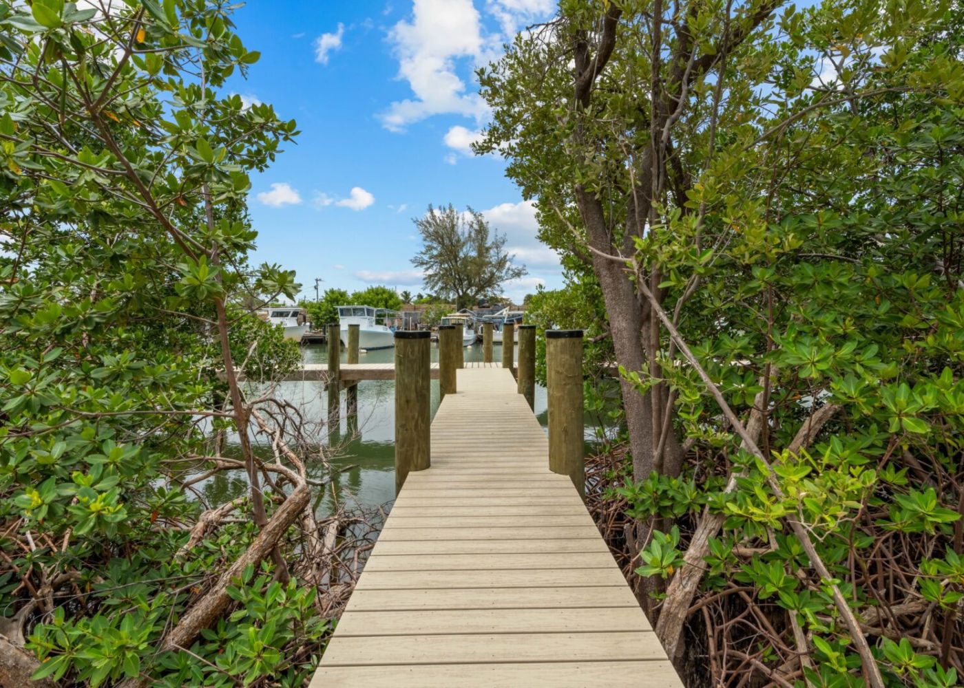 U7imttbh87fvuky8nhps 1 77a84554