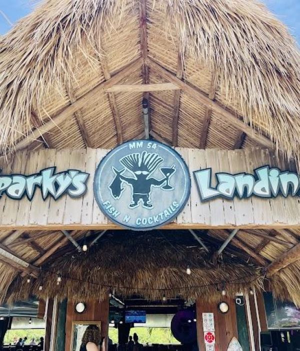 Hbutb0kxs2mxiasjhqvl 1 8120444a