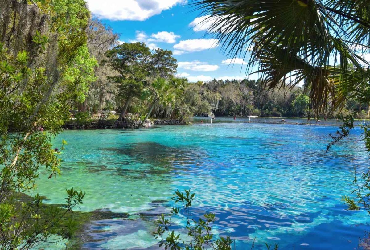 Hidden gems in marathon florida 1 Gettyimages 517599244 2000 08db97d274f246669b364347641086d3 88f45bf0
