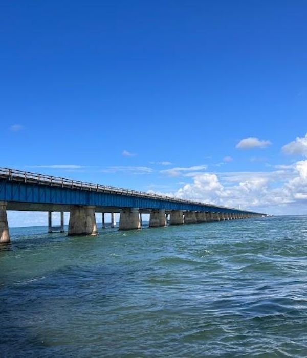 7sz72esse2kuvmjhdhwn 1 90497449