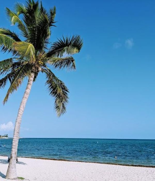 3rgx2y8wr8qbmvh8v3yd 1 92e61e5d