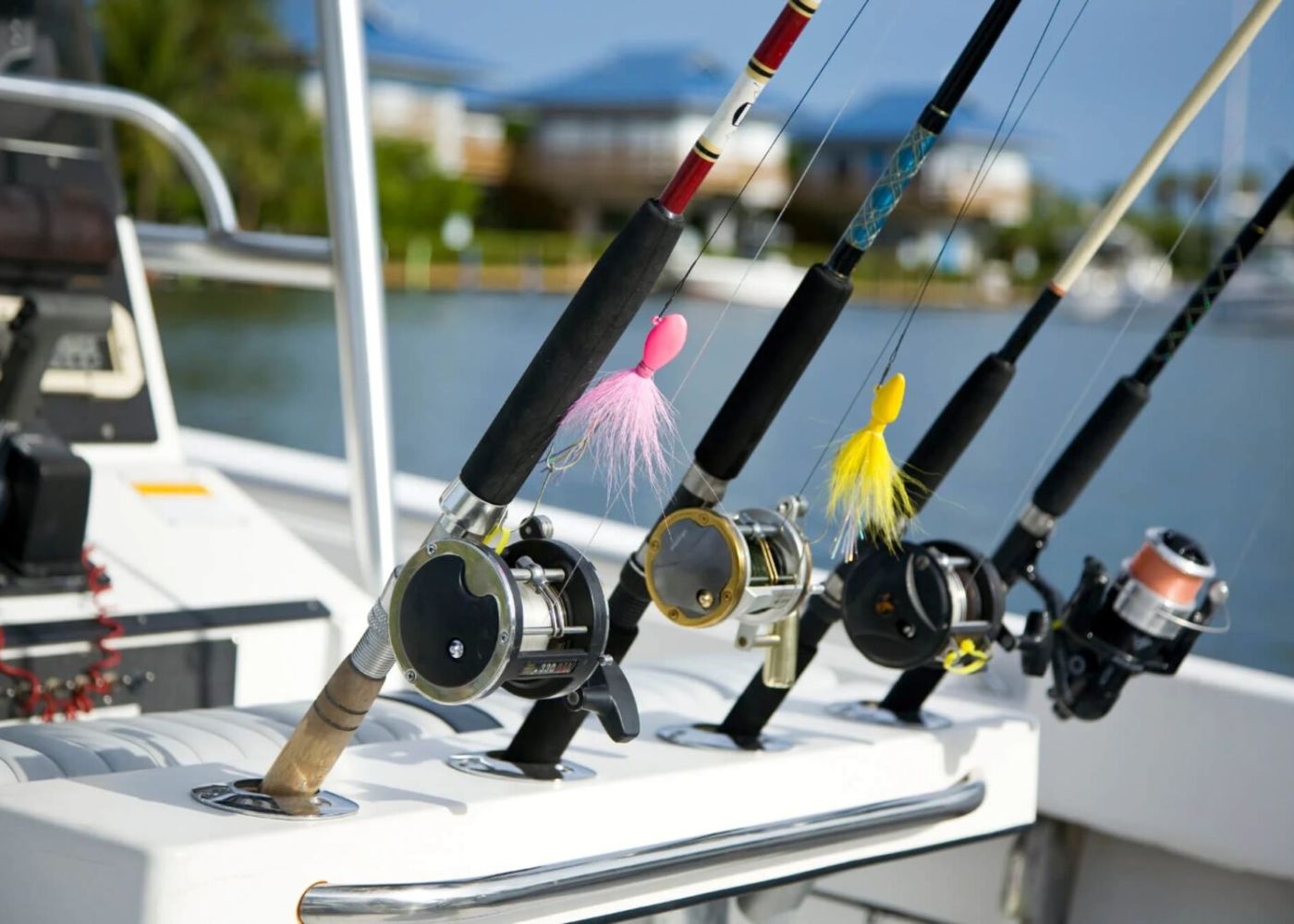 L2mygnkxjhxolzsdc41c 99b4f0db