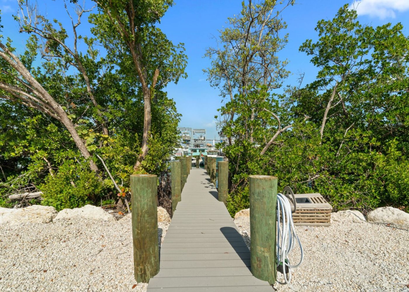 Ucqdg9uit1yiypbvufcb 1 9d737057