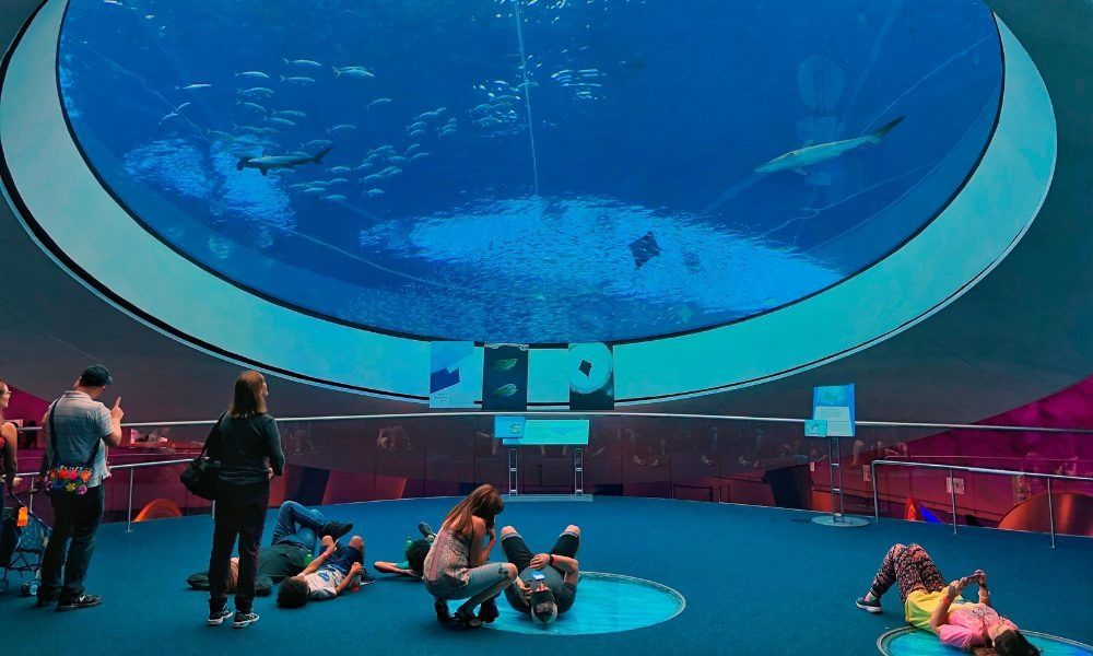 Imgi 3 best indoor things to do in florida my top 3 picks from my trip b480ba88