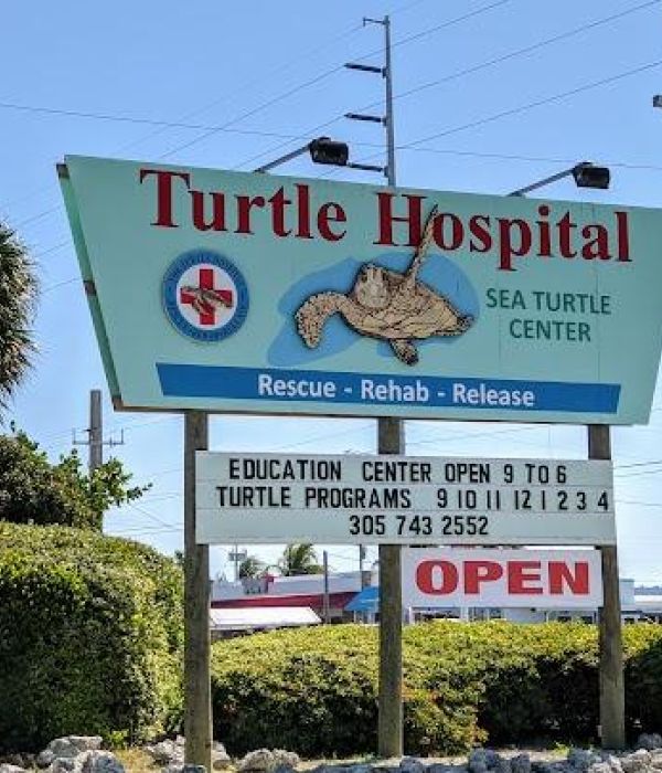 0z2fcykrqk4ihhdwudfw 1 cb6a7c42