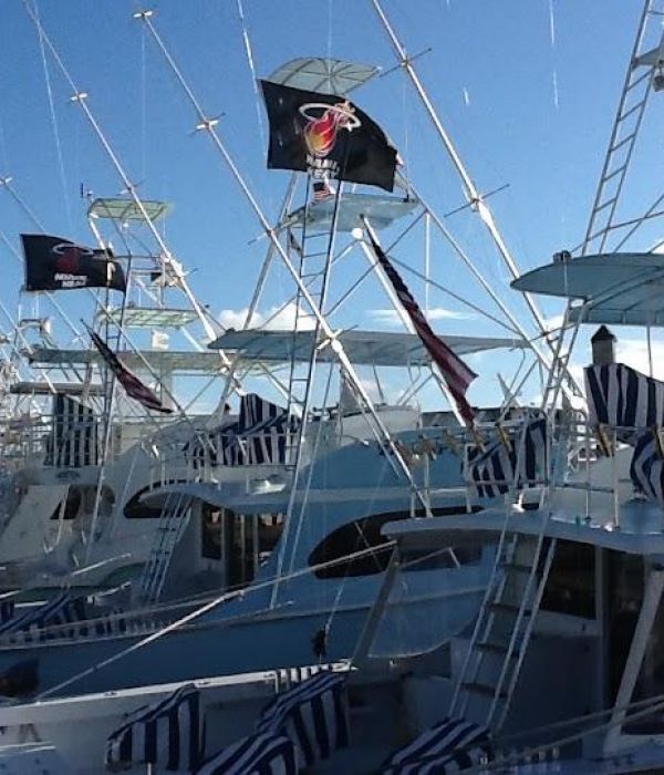 Lh8ng4boq9qcqriam4cc 1 d494f26e