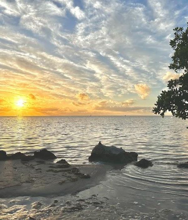 Etxmjmffszmeufeszxmt 1 d4f1a858