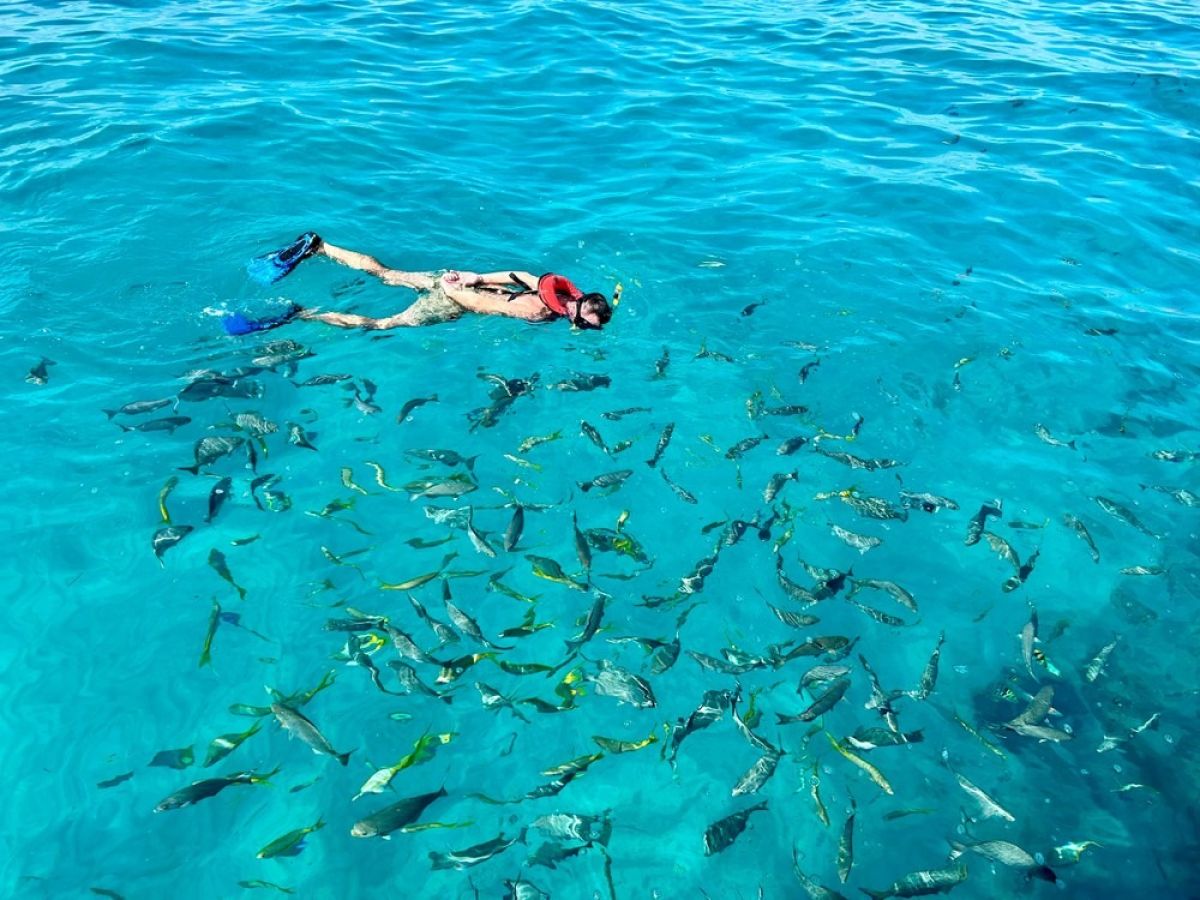 Imgi 3 snorkeling marathon fl 20 d4888a92