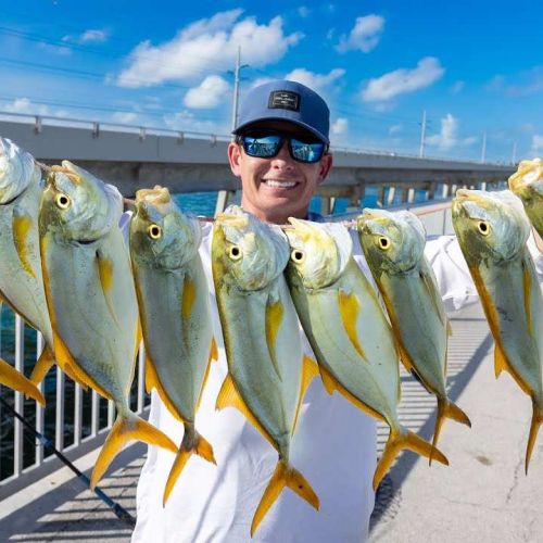 Rl1n4oanj9algmguj0r8 ed440bf6