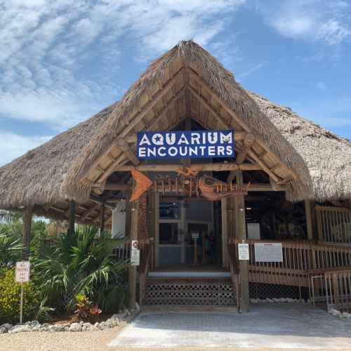 Enjoy the tranquility of nature while being just a short distance from local attractions such as pristine beaches and vibrant markets. Your perfect getaway awaits.