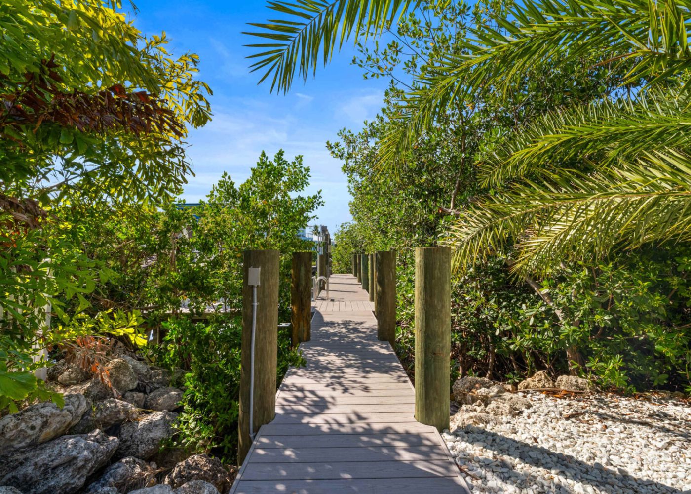 Qbvy3ly9rr8terkxcob3 f28ec344