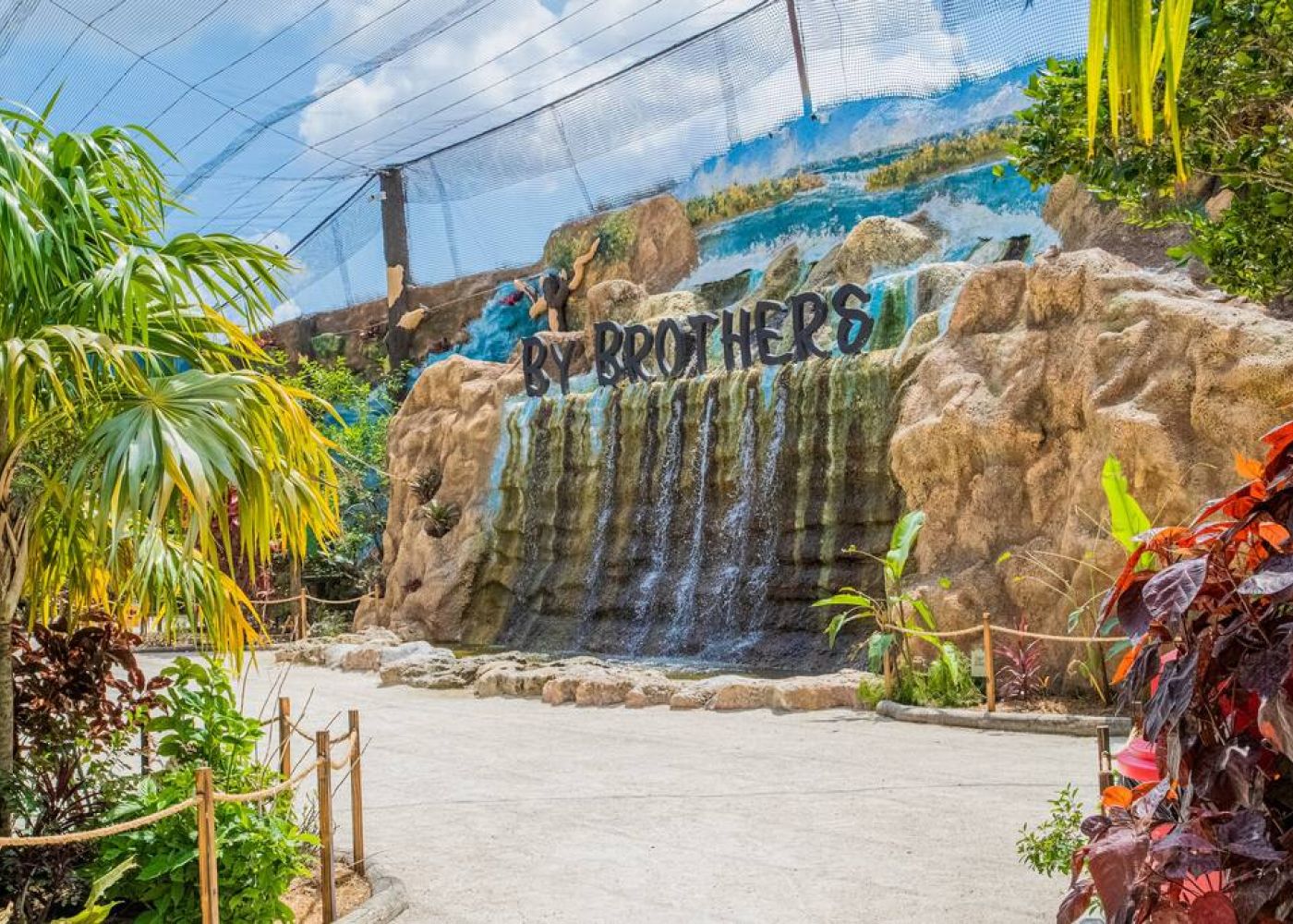 Original 729895415924628131 1512641469 1 fab0f939