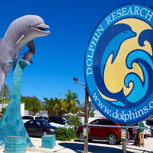 Dolphin statue at the entrance of the Dolphin Research Center in Marathon, Florida.