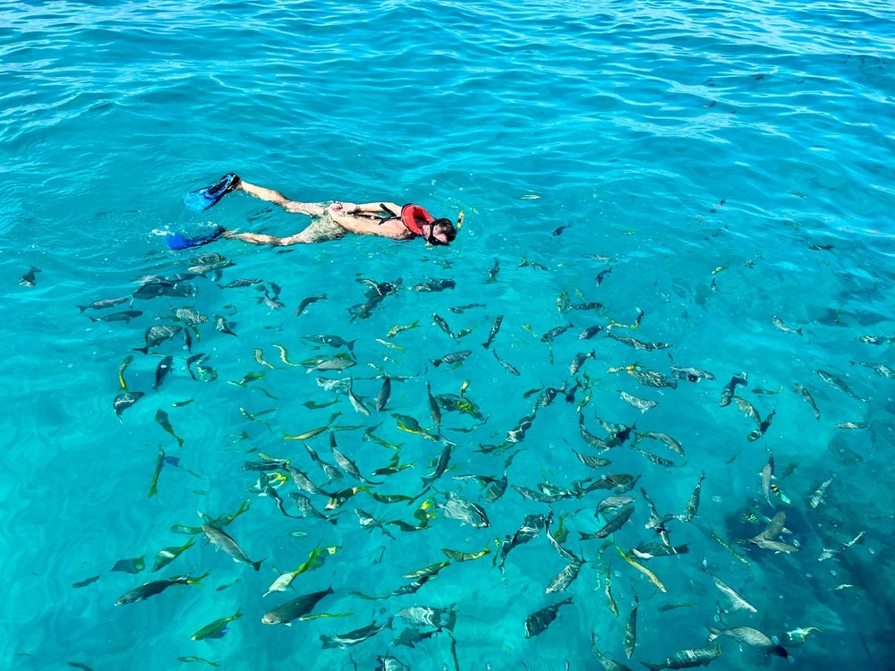 A snorkeler in a red life vest and blue fins floats in clear turquoise water, surrounded by a large school of colorful fish.
