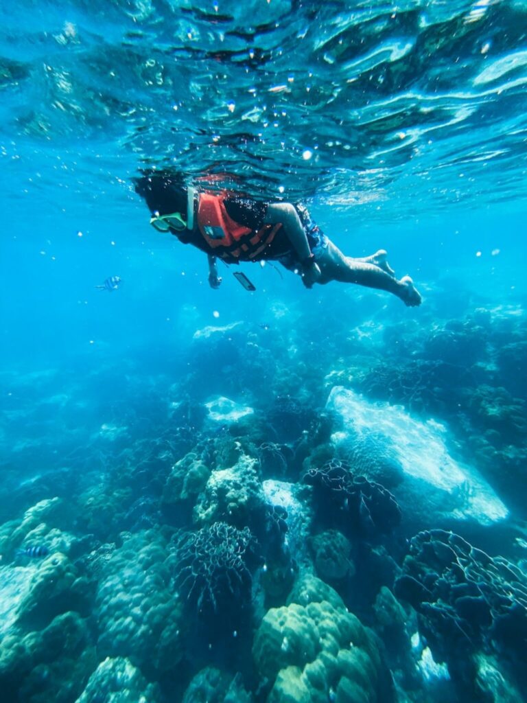 A person wearing a snorkel, mask, and orange life vest swims above vibrant coral reefs in clear blue water, surrounded by marine life.