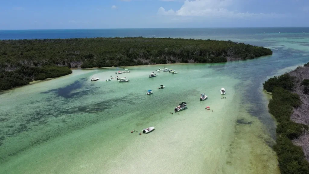 Aerial view of several boats and people gathered in shallow, clear turquoise water near a lush green mangrove shoreline under a partly cloudy sky.
