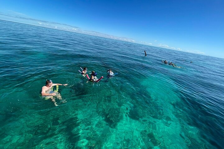Four snorkelers swim in clear blue ocean water under a sunny sky, with another group of snorkelers visible farther away. The water is calm and the visibility is high.