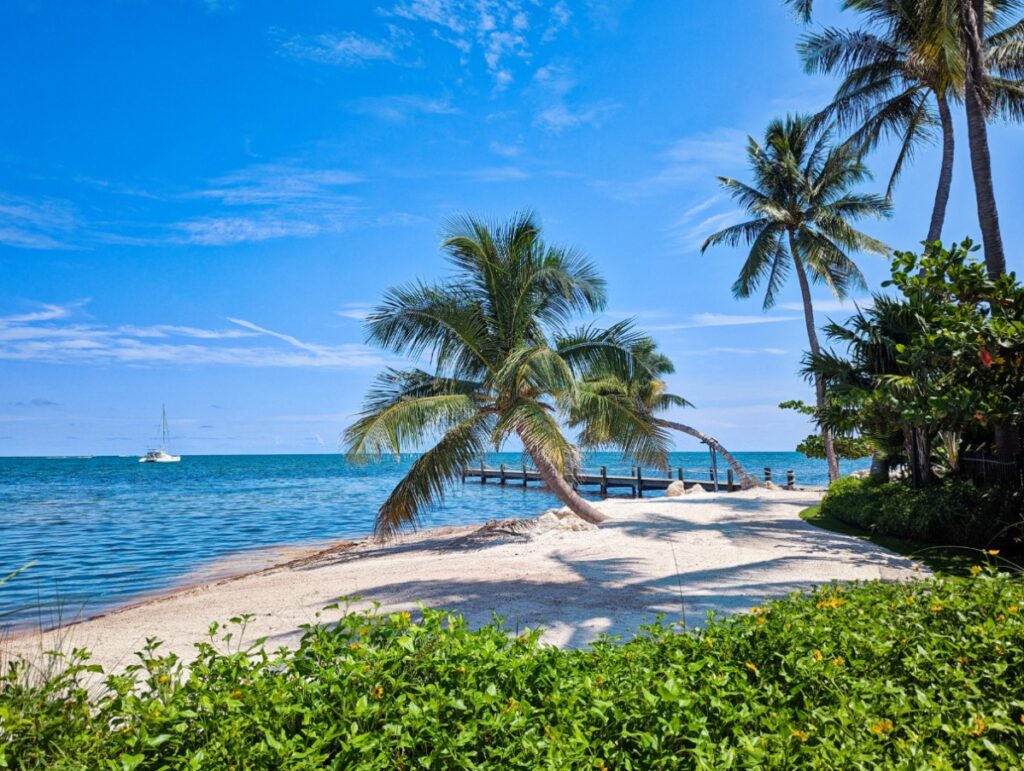 A tropical beach with white sand, palm trees, a calm blue ocean, a wooden pier, and a sailboat in the distance under a bright blue sky with scattered clouds.