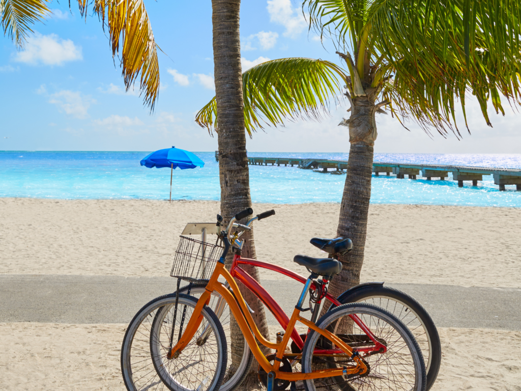 Two bicycles rest against palm trees on a sandy beach in marathon, florida—perfect for snowbirds. A blue umbrella and a wooden pier stretch into the bright turquoise sea beneath a clear, sunny sky.