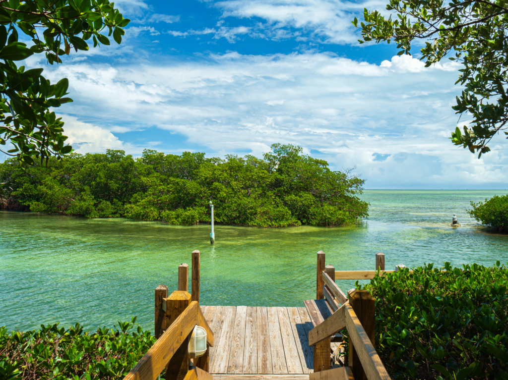10 nature trails & parks in marathon fl | wild side guide 2 Nature trails & parks in marathon fl | a wooden dock leads to clear turquoise water surrounded by lush green mangroves under a bright blue sky with scattered clouds.