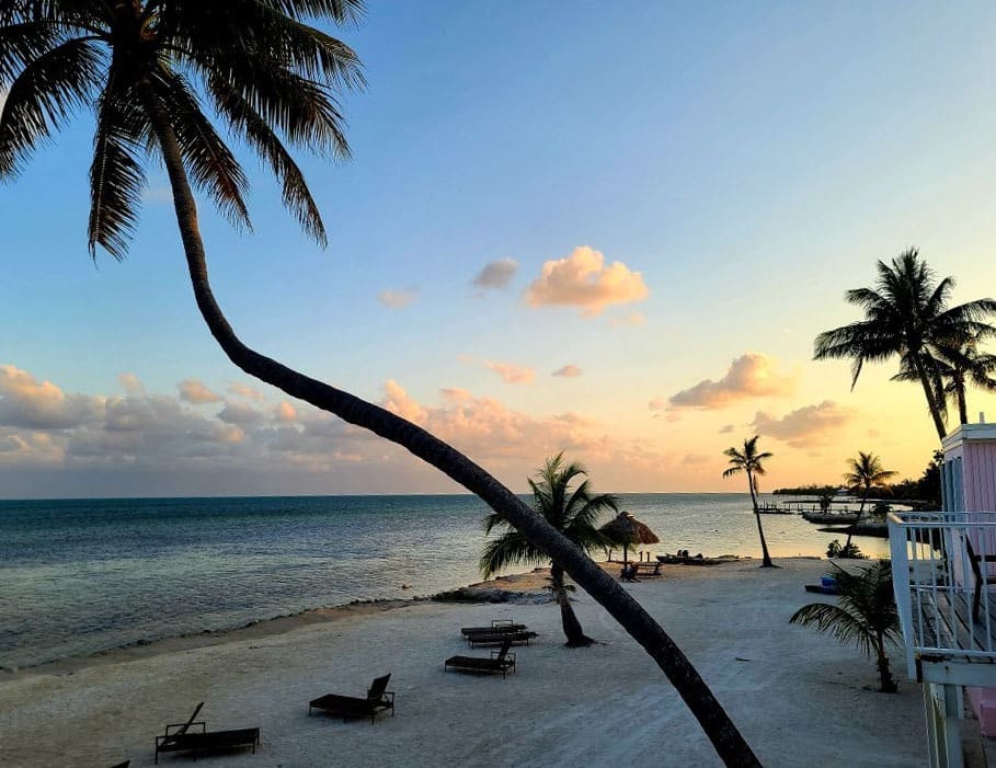 A tropical beach at sunset with palm trees, lounge chairs on the sand, and calm ocean waves—this peaceful scene is the perfect spot for a couples getaway guide, with warm colors and an inviting atmosphere.
